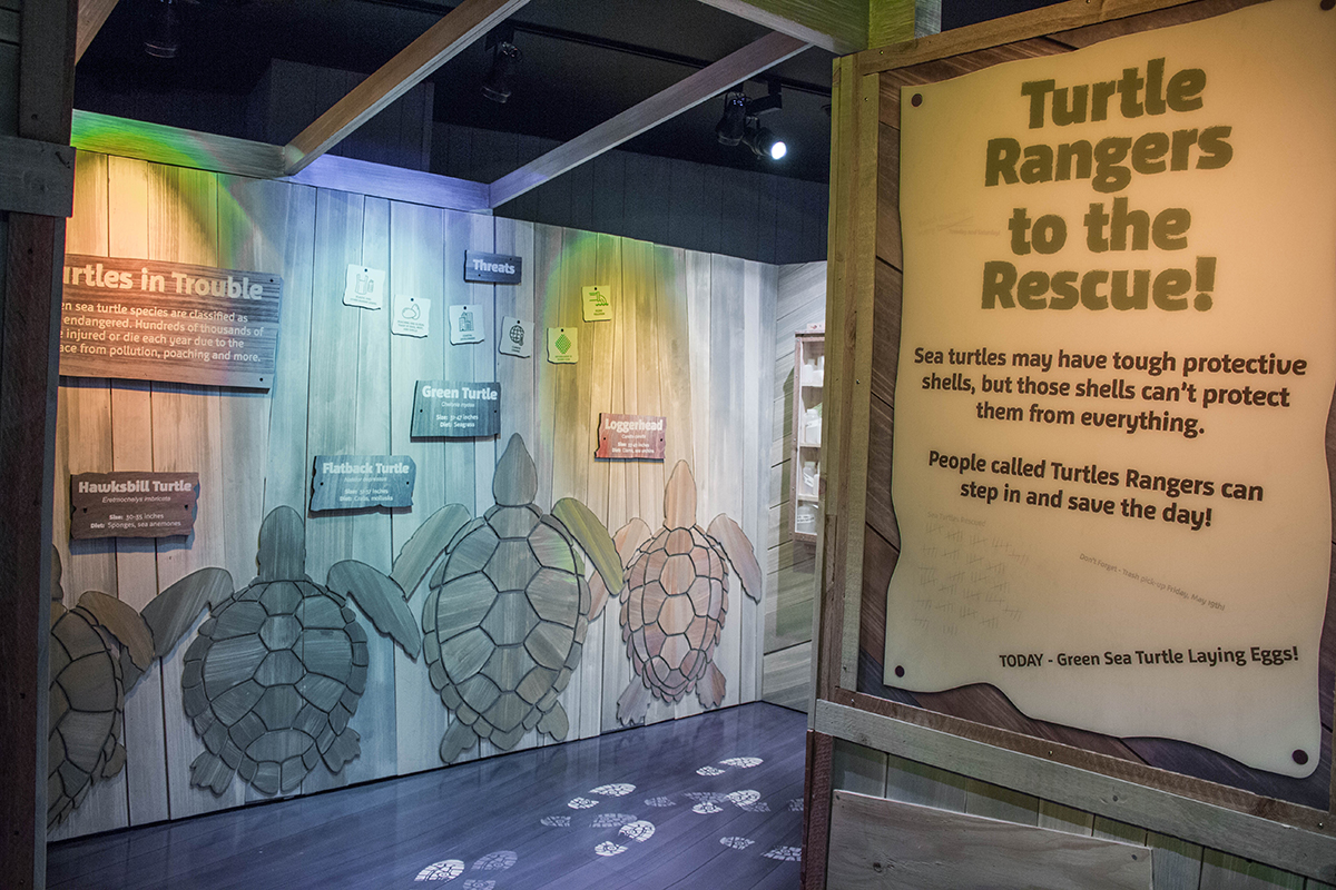 overview of the Turtles in Trouble component